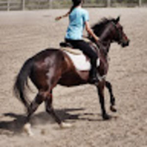 Meet your Posher, Daphne